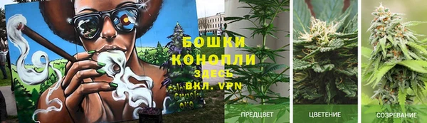 прущий лед Аша