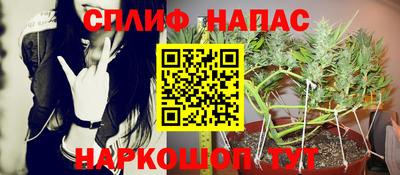сатива Балахна