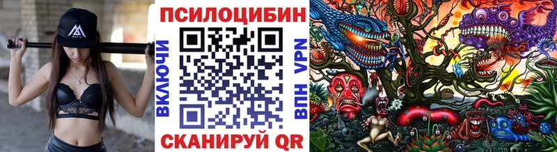 Псилоцибиновые грибы GOLDEN TEACHER  купить наркотики сайты  Батайск 