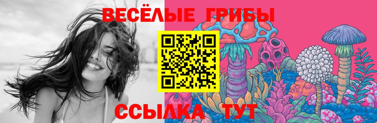 Псилоцибиновые грибы Cubensis  Батайск 