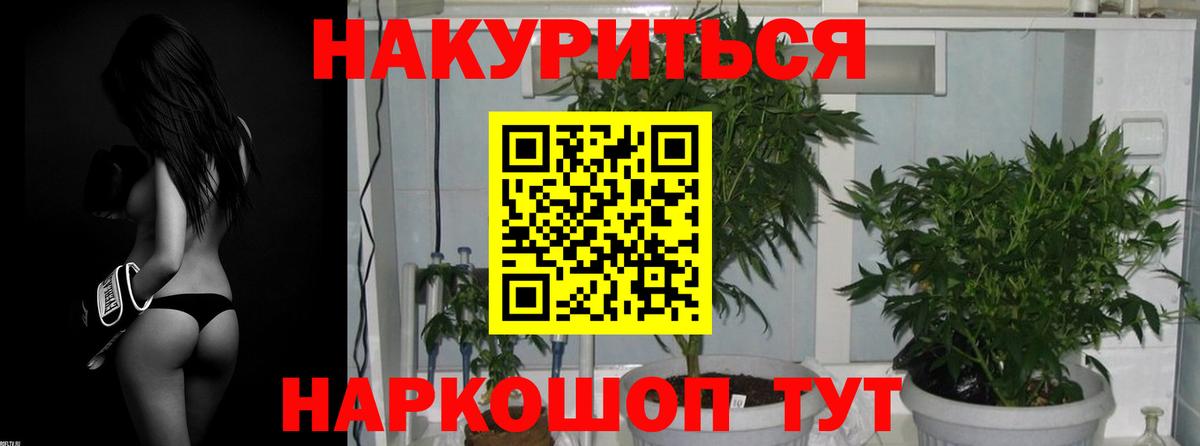 МАРИХУАНА White Widow  Вход с VPN  Батайск  МАРИХУАНА Amnesia  Шишки марихуана семена 